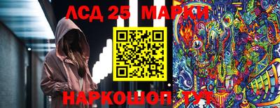 крисы Можга
