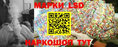крисы Можга