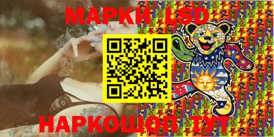 крисы Можга
