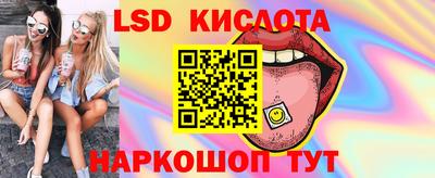 крисы Можга