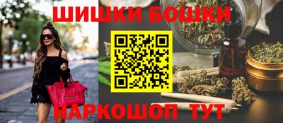 крисы Можга