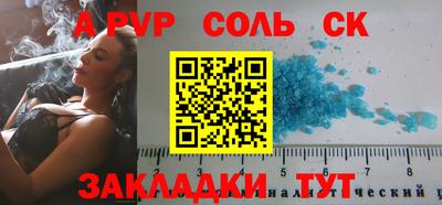 крисы Можга