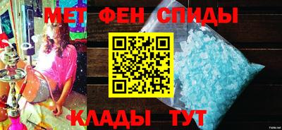 крисы Можга