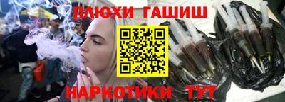 крисы Можга
