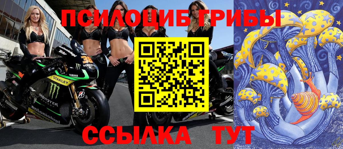 Псилоцибиновые грибы GOLDEN TEACHER Узловая