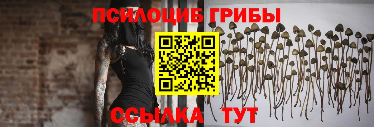 Узловая  Галлюциногенные грибы мицелий  Вход с VPN 